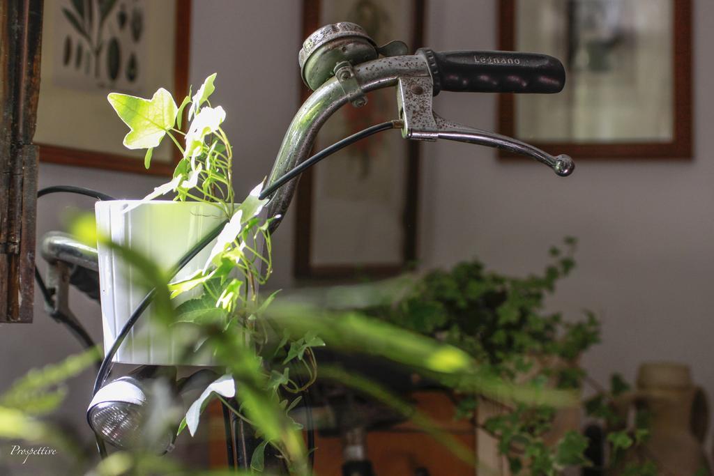 シラクーサ Il Salotto Di Maria Pia Bed & Breakfast エクステリア 写真